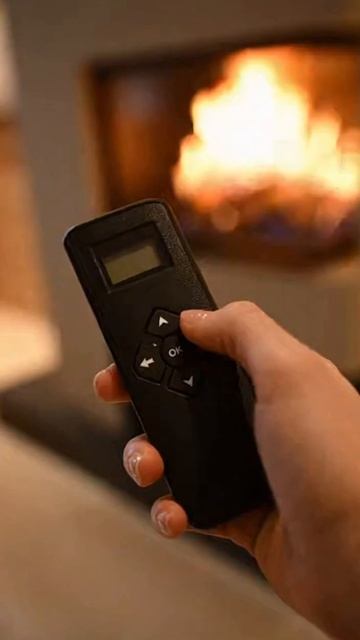 Купите газовую топку LEO/LP/100/G20 по супер цене! #газоваятопка #выгода