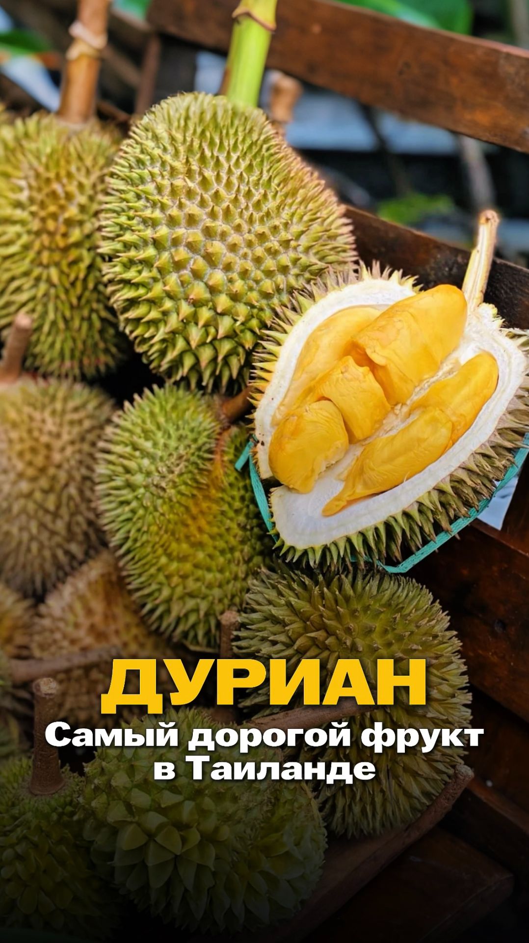 Дуриан - самый дорогой фрукт в Таиланде