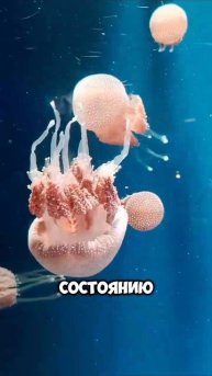 Подпишись, чтобы не пропустить новое видео