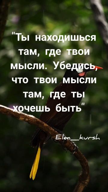 Подписывайся на аккаунт И стань лучшей версией себя ❤️