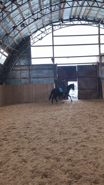 Оксана Новикова и Рокас Вэлл, рысь строевая по стенке в манеже.