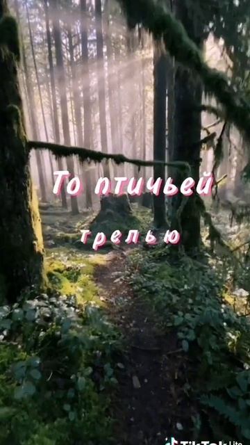 10b027ed6775f6fc116169875a2cb892_1764071950431.mp4