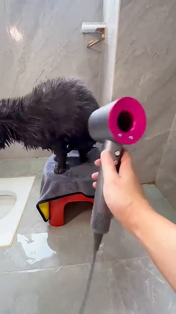 Видео от VIBE | Мысли & Факты