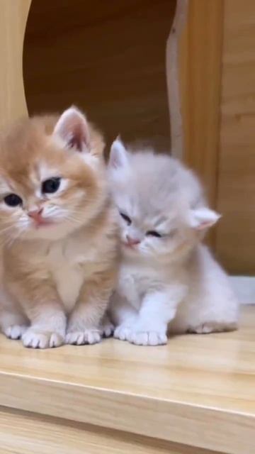 С добрым утром❤️