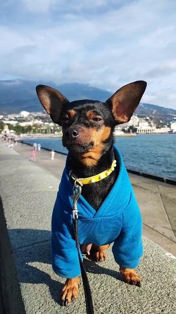 Главная героиня моих видео и фото