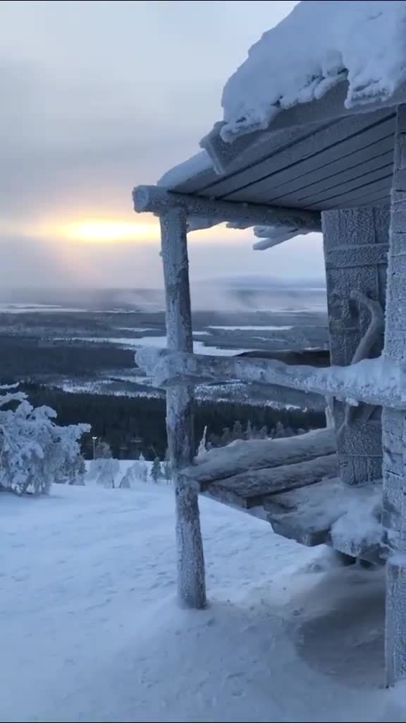 Подпишись 👉 👉 https://kamennyi-zver.ru