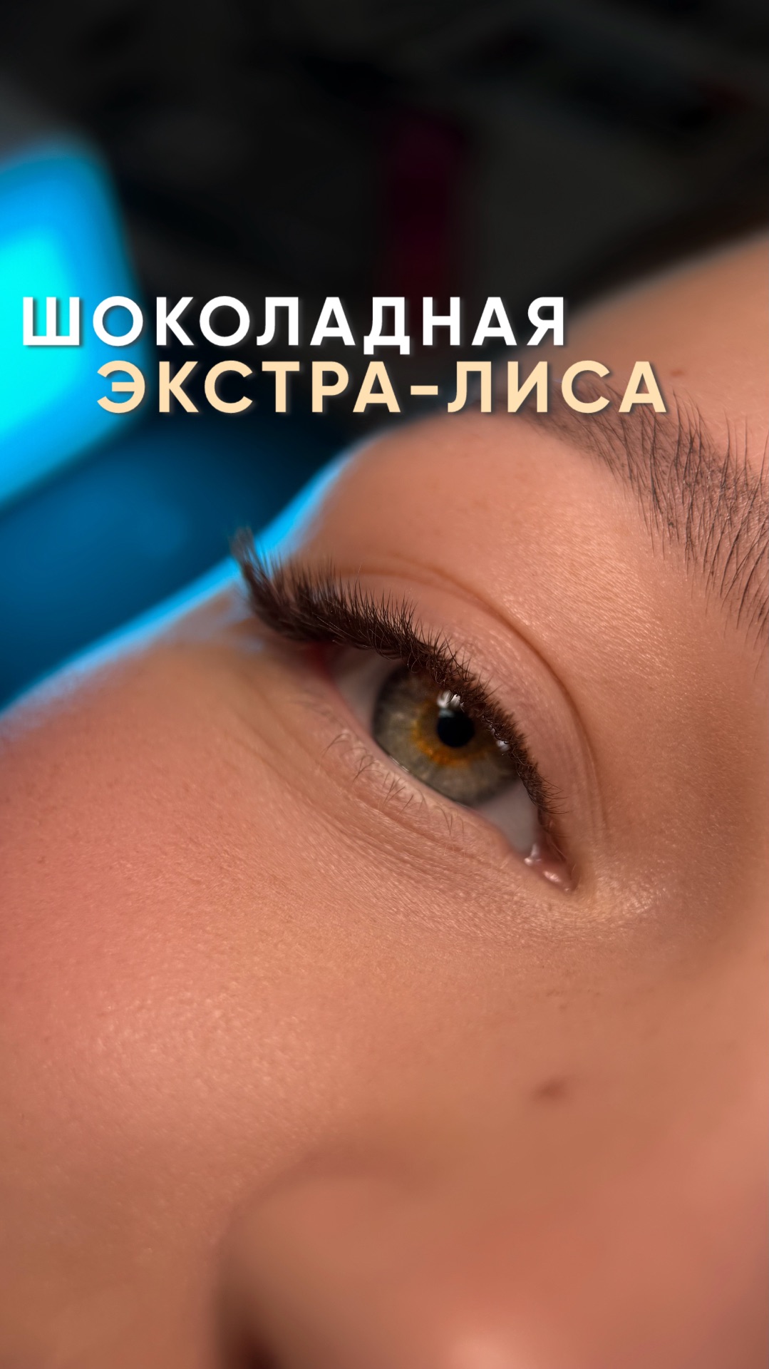 Экстра-лиса, любимица многих клиентов и вот несколько правил, чтобы она была максимально красивой: