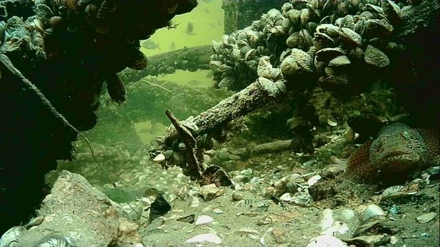 1000005525.mp4Волга гл.2м.26.11.2025г.