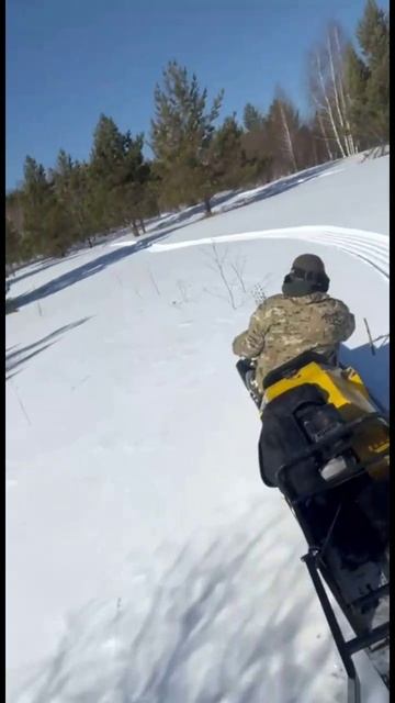 Пёсель везёт в Таёжник