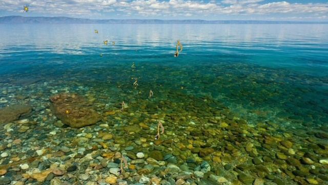 Признание в любви