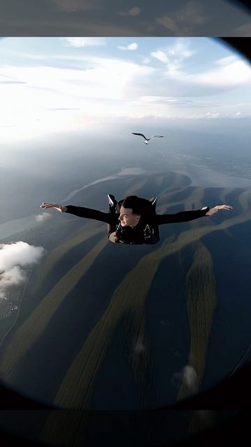 мои сны при температуре 37 градусов