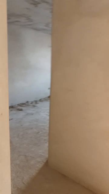 document_5265053133737856201