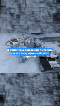 В Приамурье в колонию пытались ввезти смартфоны в банках с краской