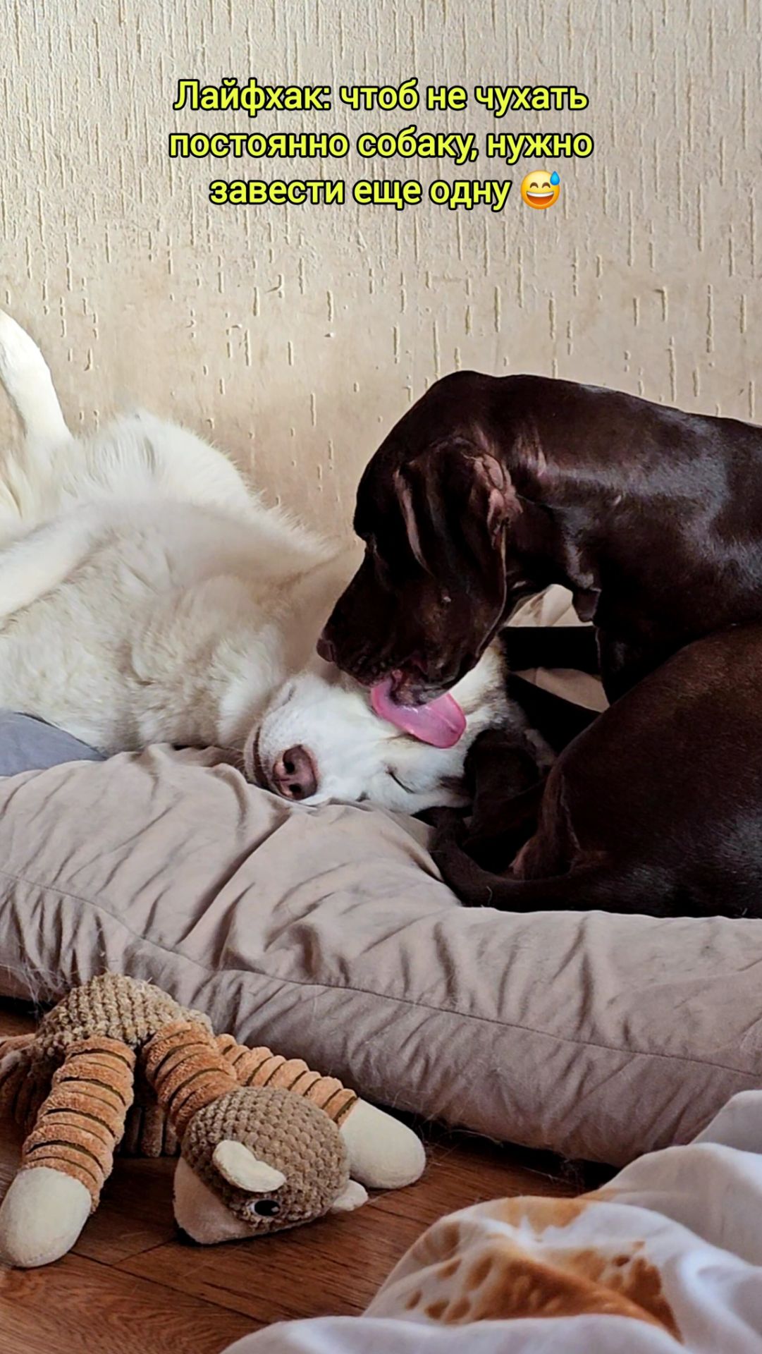 А это работает😂