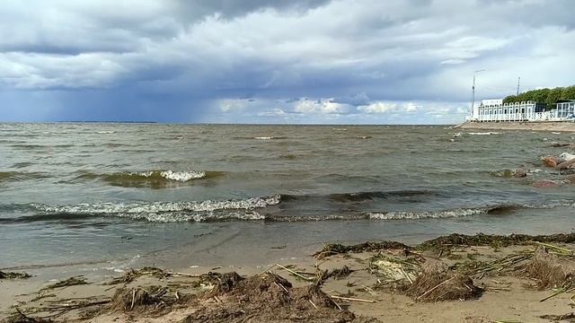 На Невской губе.