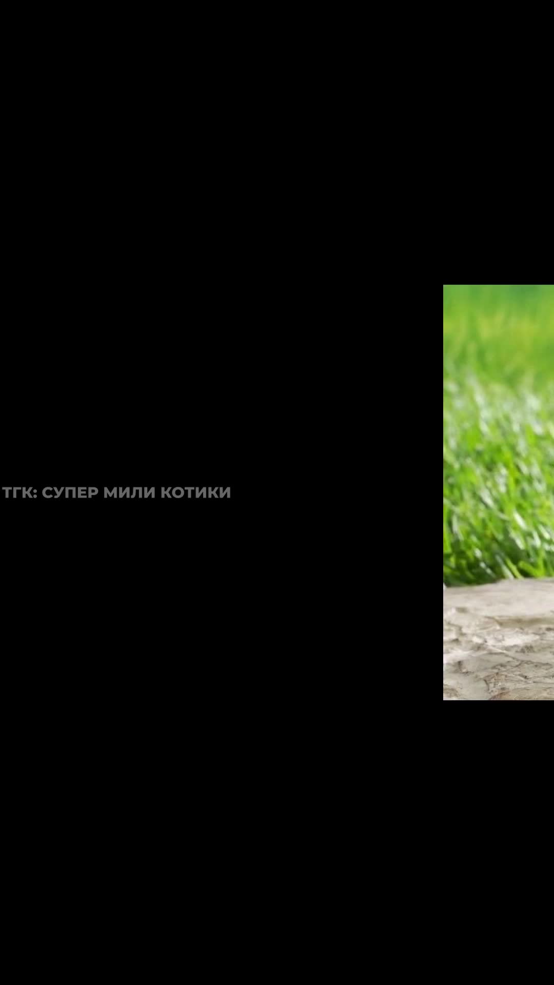 supermilikotiki_127.mp4