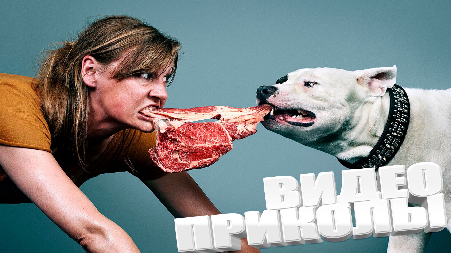 ЛУЧШИЕ ПРИКОЛЫ 2025 | ПРИКОЛЫ 2025 | СВЕЖИЕ ПРИКОЛЫ 2025 | РЖУ НЕ МОГУ |