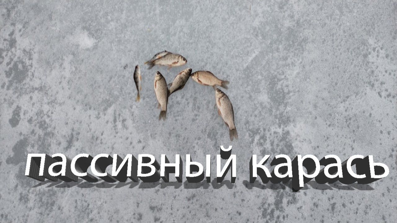 ЛОВЛЯ Пассивного КАРАСЯ со ЛЬДА + Кадры с ПОДВОДНОЙ СЪЁМКИ