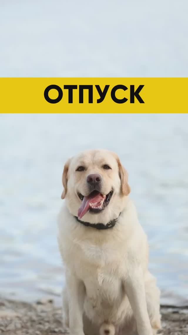 Уже зима, а хочется в лето ☀️