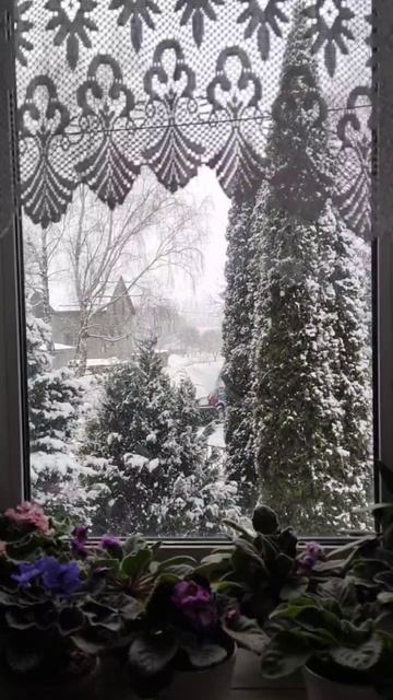 VID_20251125_203014_178