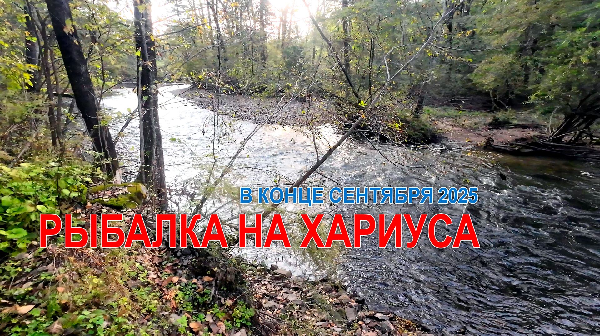 Рыбалка на хариуса в конце сентября 2025. На горной реке Приморского края. #хариус #горнаярыбалка