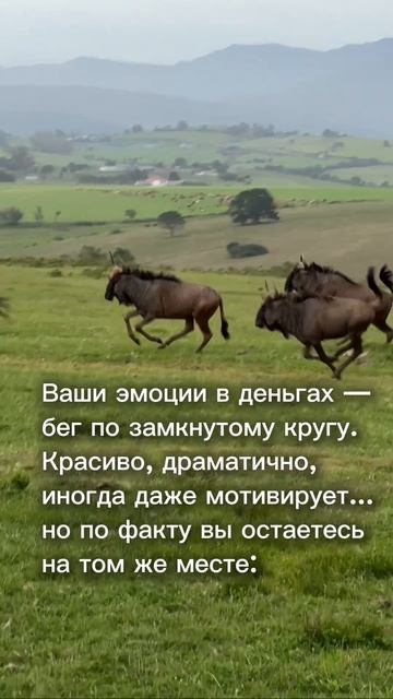 Хорошая новость! Ты можешь разорвать этот замкнутый круг
