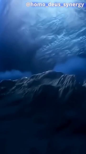 Будущее Солнца Зависит ли оно от Земли #homodeus