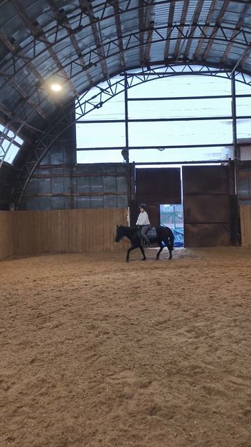 Даша и Наоми, рысь стровая по стенке в манеже.