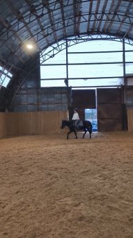 Даша и Наоми, рысь стровая по стенке в манеже.