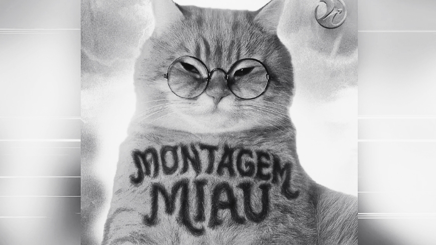 LENAR - MONTAGEM MIAU - SLOWED - Full version - PHONK