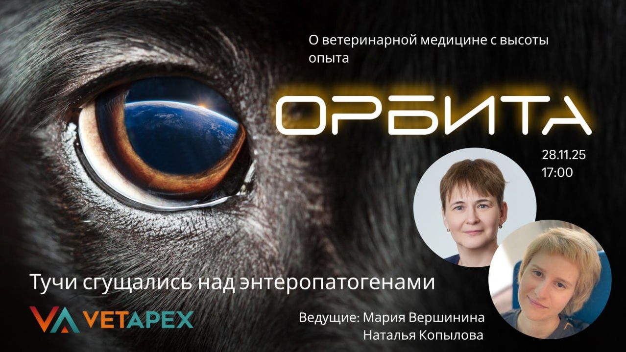 "ОРБИТА" с Марией Вершининой и Натальей Копыловой