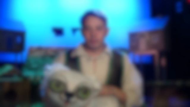 «8 канал» о премьерной постановке «Котёнок по имени Гав»