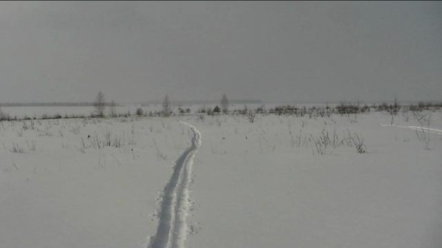 ЦАРСТВО  СНЕГА