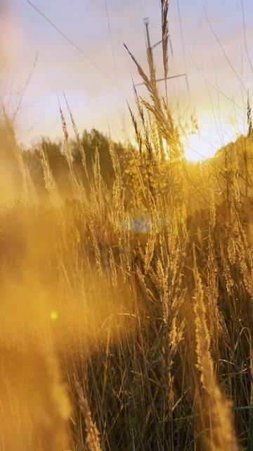 Осенний рассвет