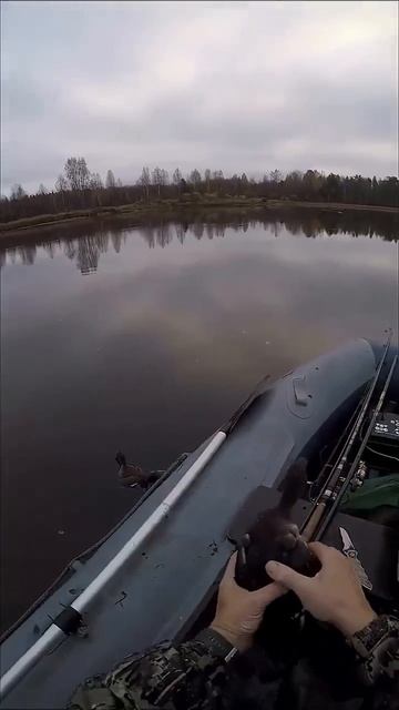 Видео от За Трофеем: Охота и Рыбалка