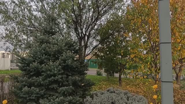 Анапа в Ноябре