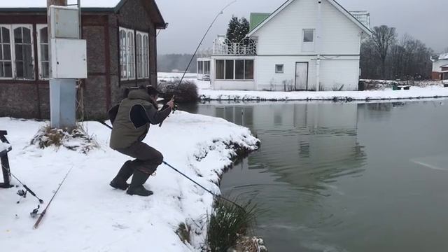 поимка форели на фидер