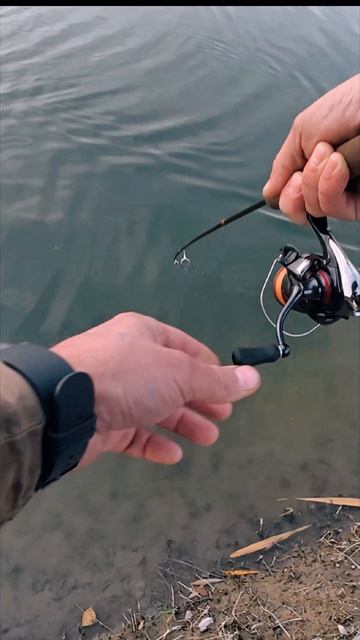 Выезд на форель, #рекомендации #2025 #top #форельнаспиннинг #форельАлматы