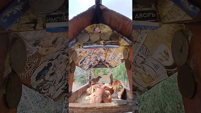 1000001974.mp4Жизнь кормушки.26.11.2025г.