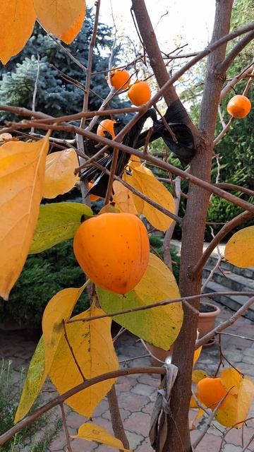 #настроение#городуморя#жизнь#местосилы