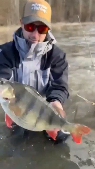 Клип @zatropheem