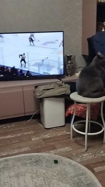 Моя кошечка любимая 😍