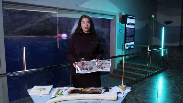 Мастер-класс, посвящённый Дню моржа