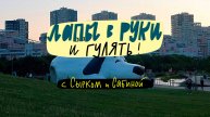 Лапы в руки и гулять! С Сырком и Сабиной🐶