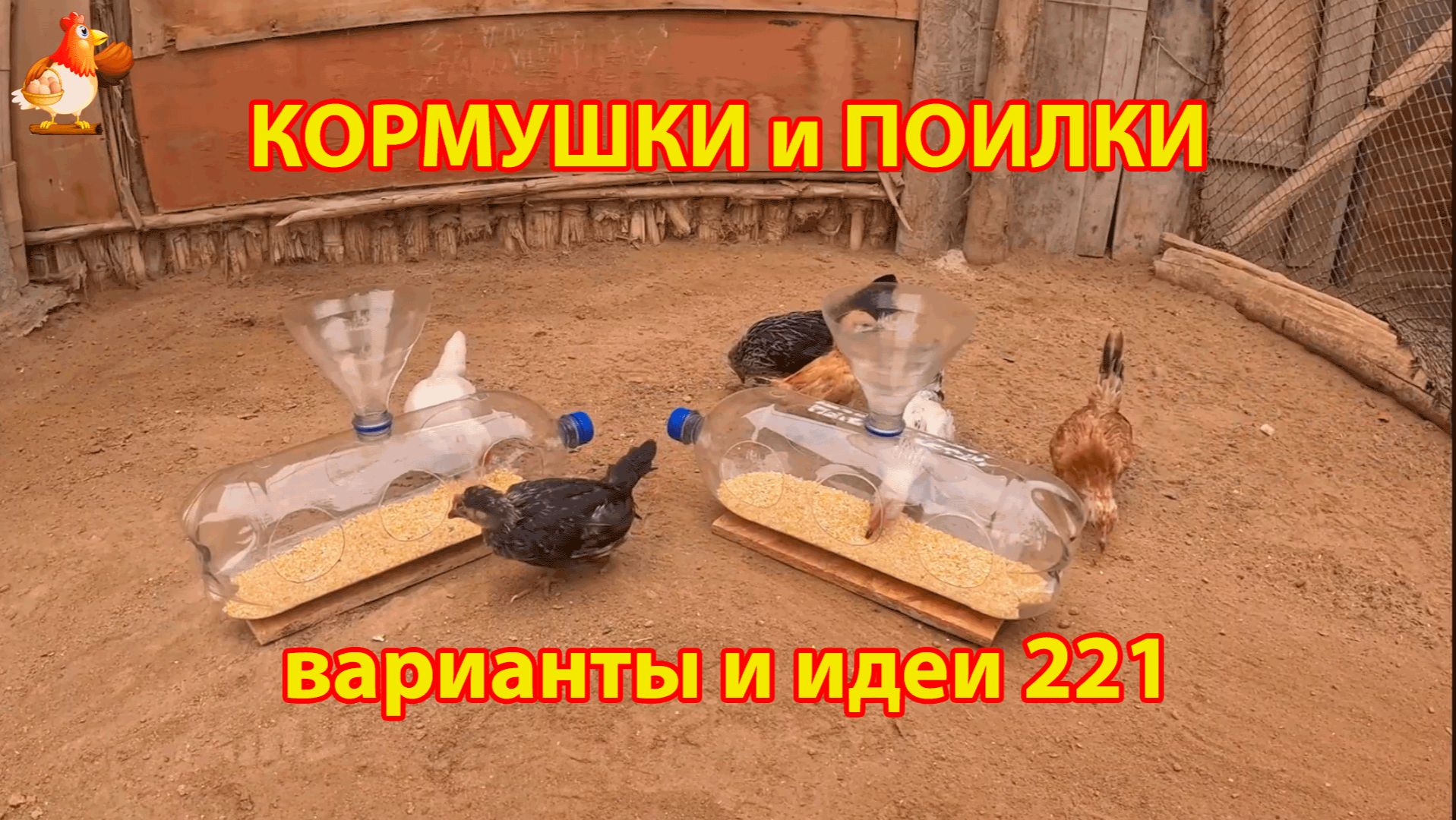 Кормушки и поилки для кур своими руками 221 🪚✂️ Пошаговая инструкция как сделать 🐔 🐓❣️