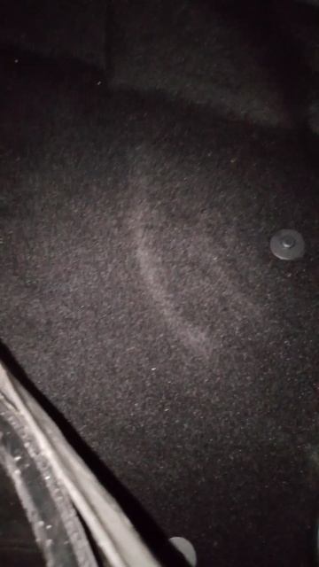 Под пленкой и ковриком все сухо!)