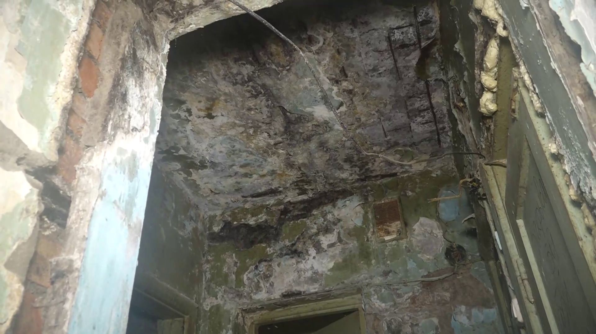 «СРЕДИ ПЛЕСЕНИ И В СЫРОСТИ»