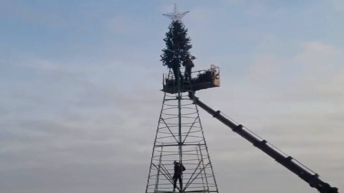 В городах Кубани начали устанавливать новогодние елки