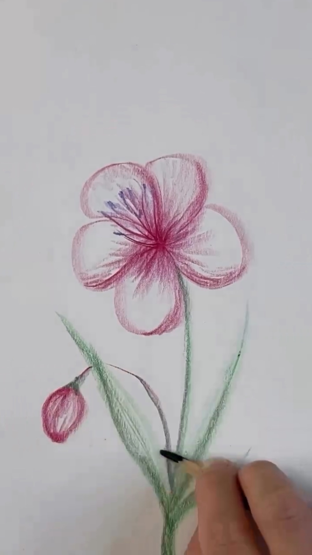 Рисуем цветок за 30 секунд 🌸 Жмите выше, чтобы получить🎁