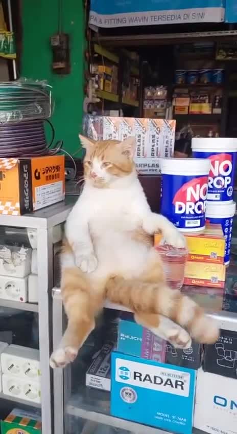 Продавец года✌️😻